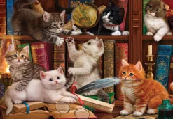 Anatolian – Kittens in the Library 500 Piece Puzzle