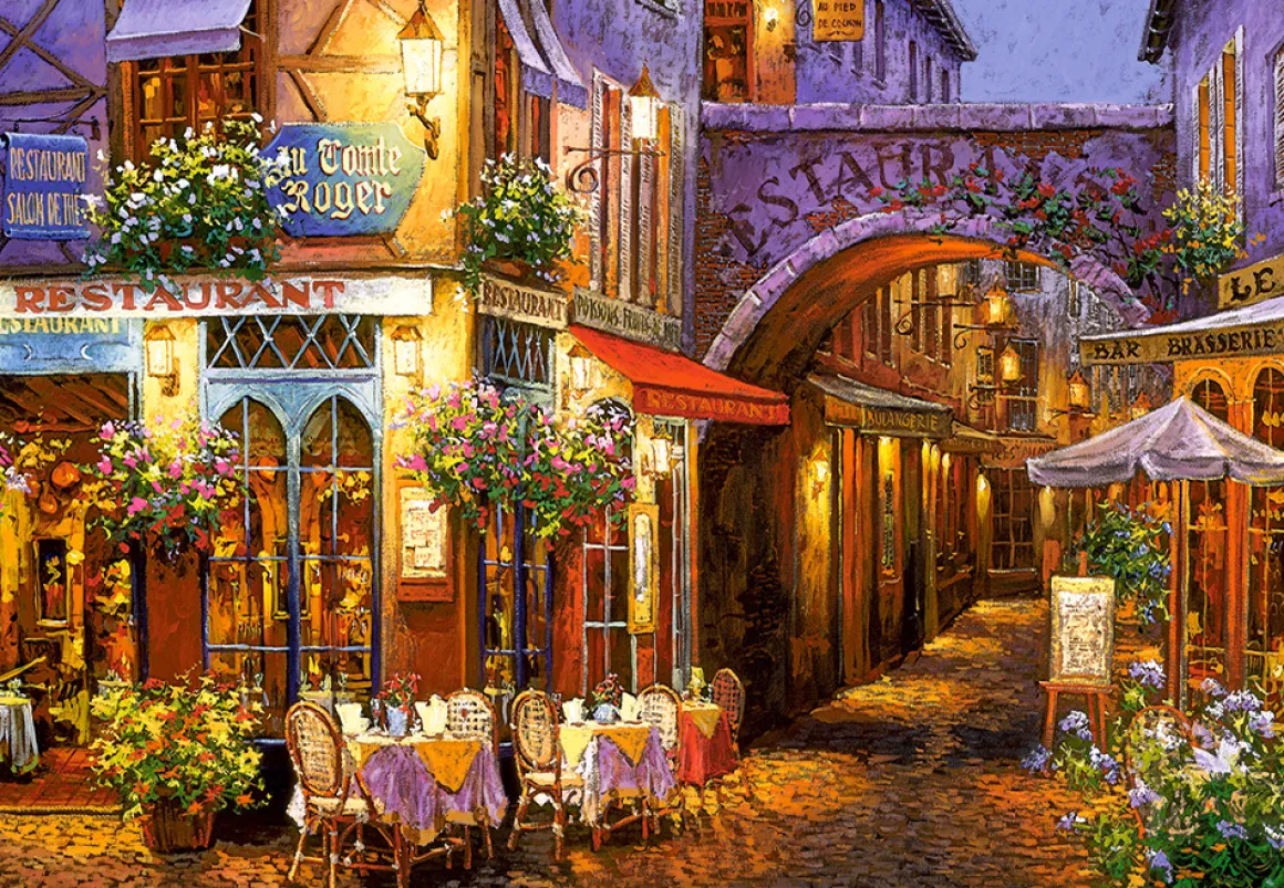 Castorland – Evening in Provence 1000 Piece Puzzle