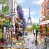 Castorland – Flowering Paris 3000 Piece Puzzle