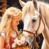 Castorland – My Friend Horse 1000 Piece Puzzle