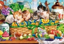 Castorland –  Napping Kittens 1000 Piece Puzzle