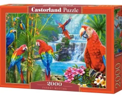Castorland – Parrot Meeting 2000 Piece Puzzle
