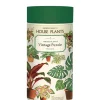 Cavallini & Co – House Plants 1000 Piece Puzzle