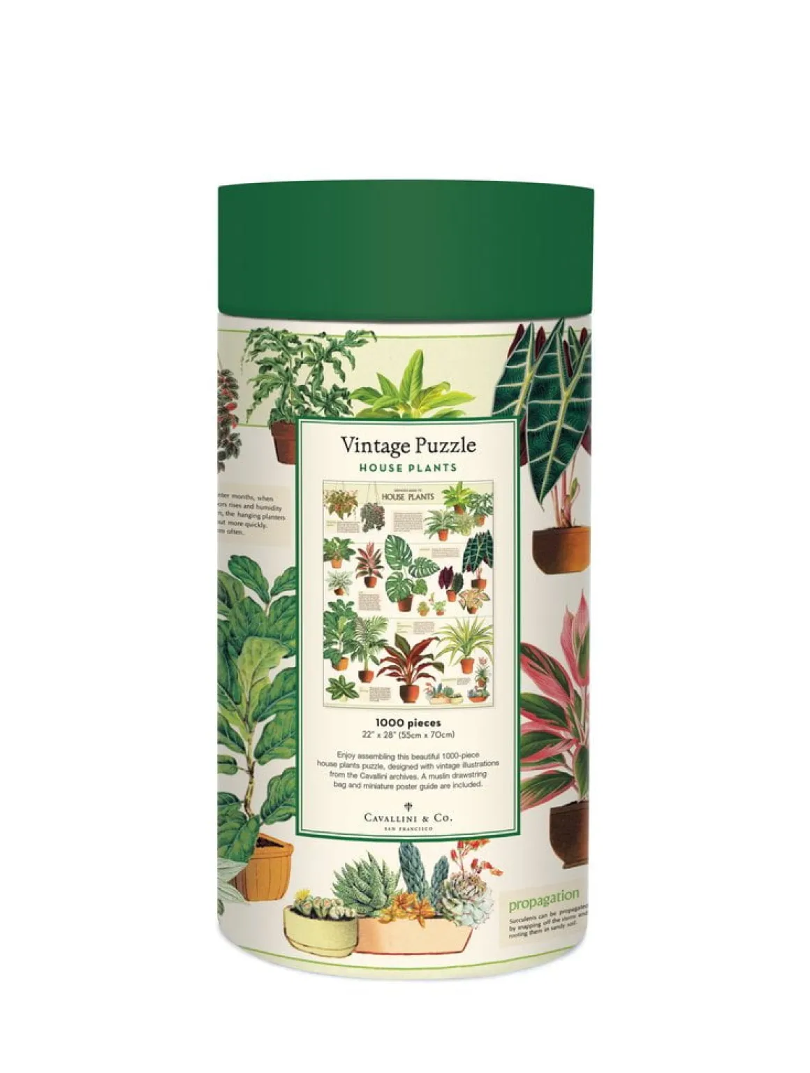 Cavallini & Co – House Plants 1000 Piece Puzzle