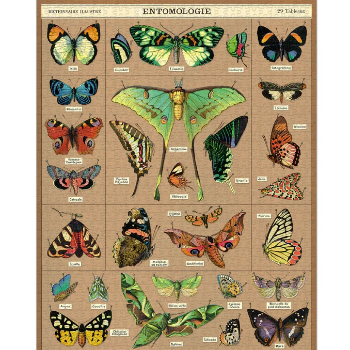 Cavallini & Co – Vintage Puzzle – Entomology 1000 Piece Puzzle