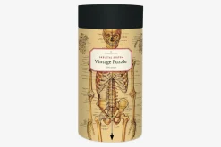 Cavallini & Co – Vintage Puzzle – Skeletal System 1000 Piece Puzzle