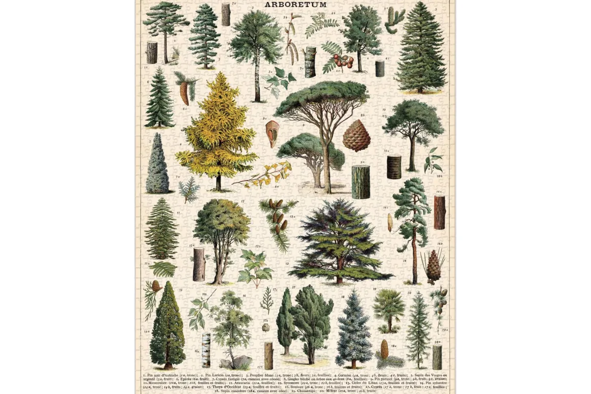 Cavallini & Co – Vintage Puzzle – Arboretum 1000 Piece