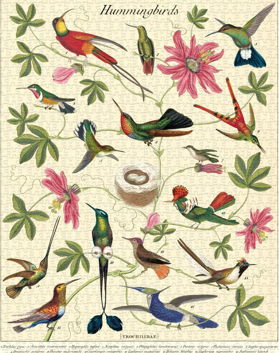 Cavallini Hummingbirds 1000 Piece Puzzle