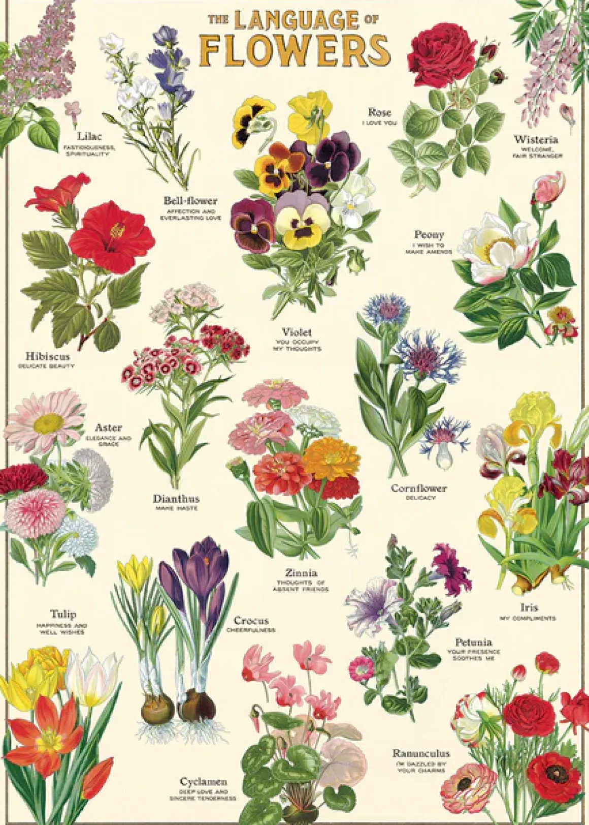 Cavallini Language of Flowers 1000 Piece Puzzle