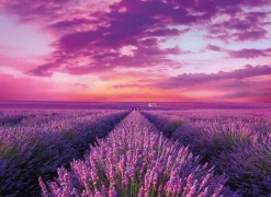 Clementoni – Lavender Field 1000 Piece Puzzle
