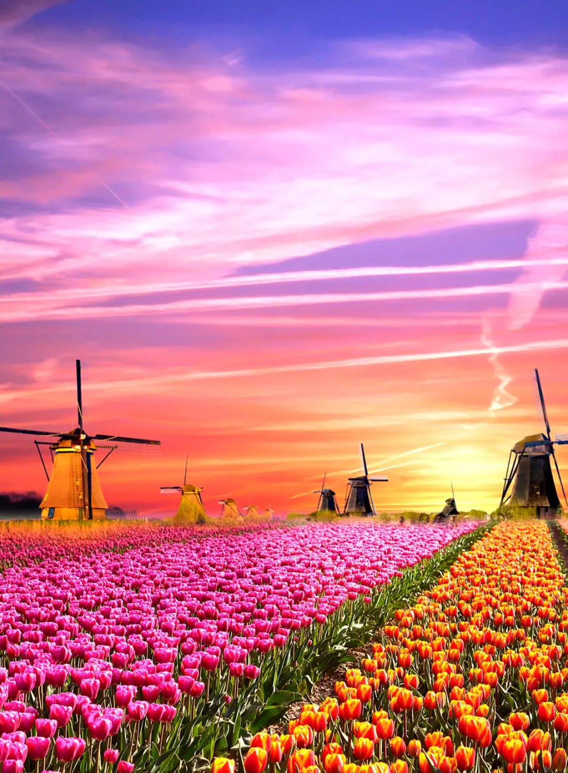 Clementoni – Magical Sunrise 500 Piece Puzzle