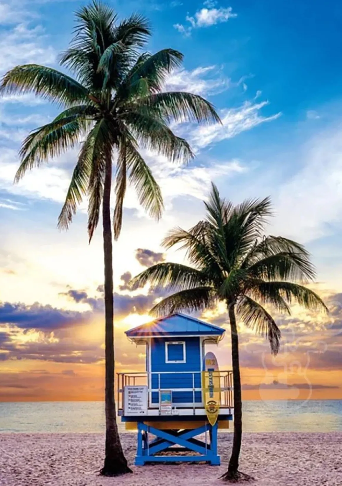 Clementoni – Miami Beach Florida 500 Piece Puzzle