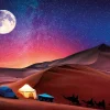 Clementoni – Peace Starry Night Dream 500 Piece Puzzle