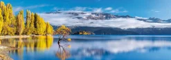 Clementoni – Wanaka’s Golden Reflection (Panorama) 1000 Piece Puzzle