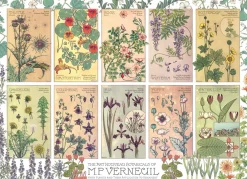 Cobble Hill – Botanicals 1000 Piece Jigsaw Puzzle