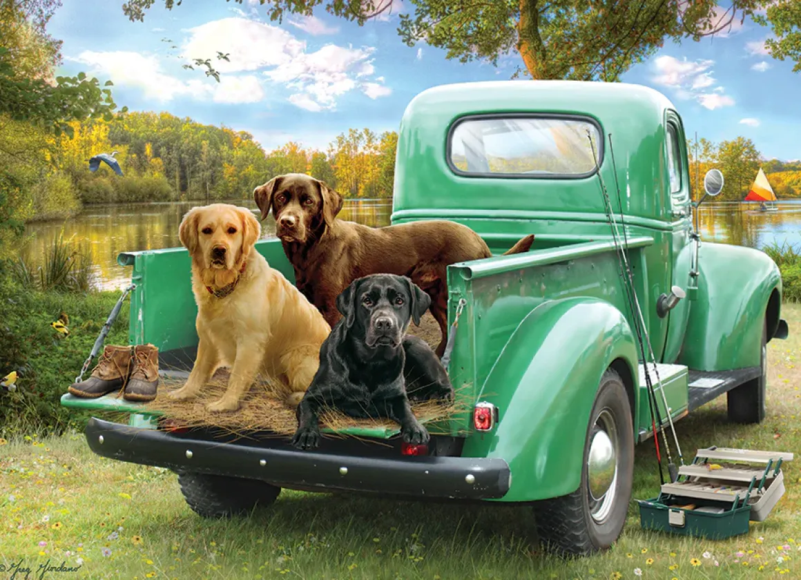 Cobble Hill – Lets Go Fishing 500 Piece Puzzle