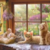 Cobble Hill – Sunbeam 500 Piece Puzzle