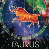 Cobble Hill – Taurus 500 Piece Jigsaw Puzzle
