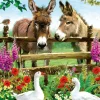 Educa – Donkeys 500 Piece Puzzle