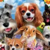 Educa – Selfie Pet Parade 200 Piece Puzzle