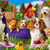 Enjoy – Puppy Patch 1000 Piece Puzzle