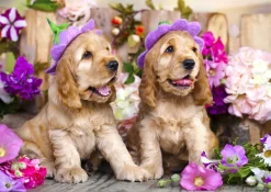 Enjoy – Spaniel Puppies with Flower Hats 1000 Piece Puzzle