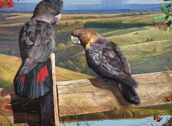 Garry Fleming – Afternoon Sun Black Cockatoo 1000 Piece Puzzle