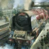 Gibsons – Spotters at Carlisle 1000 Piece Puzzle