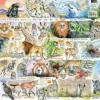Gibsons – Sun Bears & Sloths 1000 Piece Puzzle