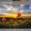 Heye – Von Humboldt – Cloudberries 1000 Piece Puzzle