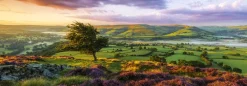 Heye – Von Humboldt – Purple Bloom Panorama 1000 Piece Puzzle