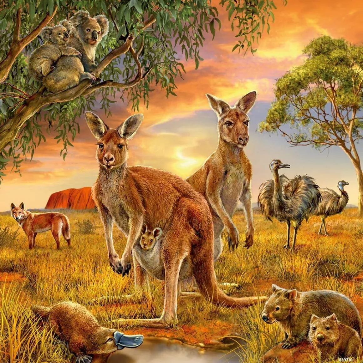 Ravensburger – Animals of the Earth 3 x 49 Piece Puzzle