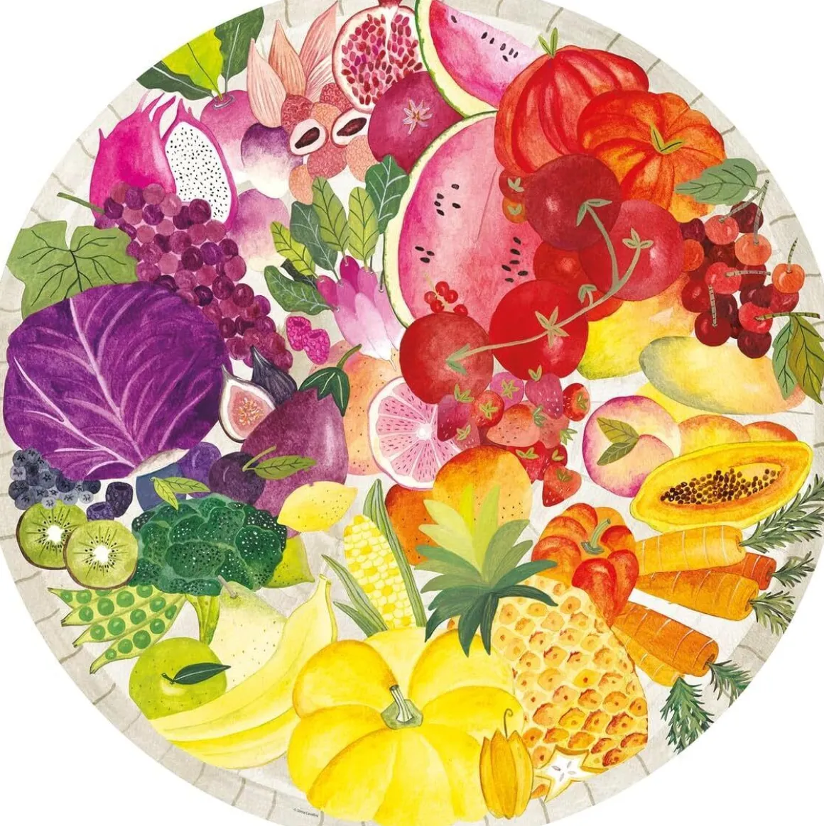 Ravensburger – Circle of Colors Fruits & Vegetables 500 Piece Round Puzzle