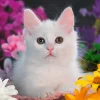 Ravensburger – Glitter Cat 100 XXL Piece Puzzle