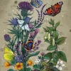 Ravensburger – Lifecircle Butterfly 1000 Piece Puzzle