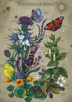 Ravensburger – Lifecircle Butterfly 1000 Piece Puzzle