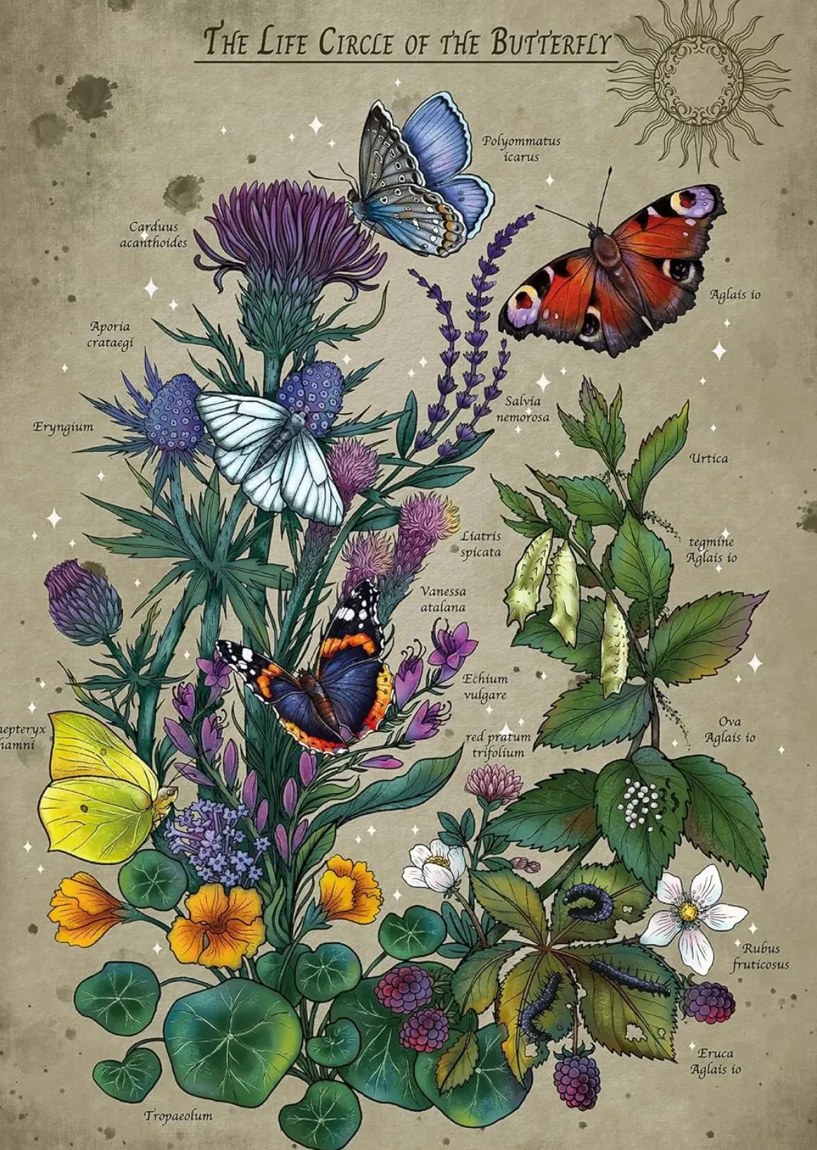 Ravensburger – Lifecircle Butterfly 1000 Piece Puzzle