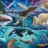 Schmidt – Arctic Animals 150 Piece Puzzle
