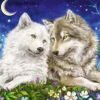 Schmidt – Cuddly Wolf Friends 200 Piece Puzzle