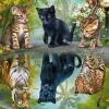 Schmidt – Dream Big 1000 Piece Puzzle