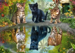 Schmidt – Dream Big 1000 Piece Puzzle