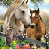 Schmidt – Mare and Foal 150 Piece Puzzle