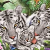 Schmidt – Tiger Family 150  Piece Jigsaw Puzzle