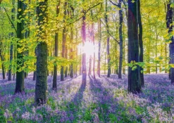 Schmidt – Tranquil Bluebell Woods 1000 Piece Puzzle