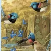 Shirley Barber – Red-Winged Fairy Wrens 1000 Piece Puzzle